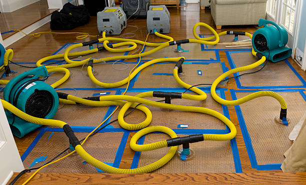 Professional Basement Flood Cleanup technician working in Oak Grove, MN